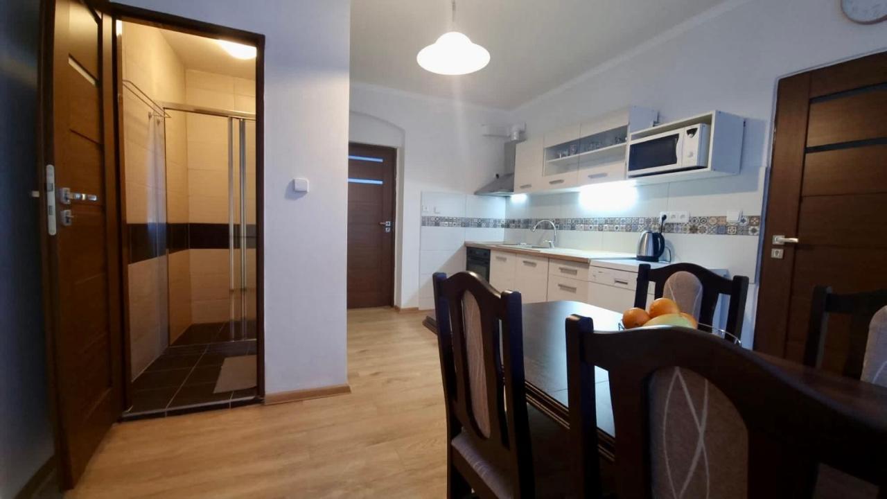 Apartman V Krusnych Horach-Free Parking Jáchymov Eksteriør bilde