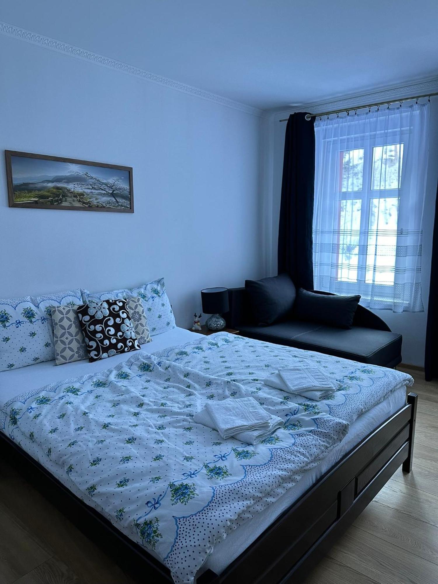 Apartman V Krusnych Horach-Free Parking Jáchymov Eksteriør bilde