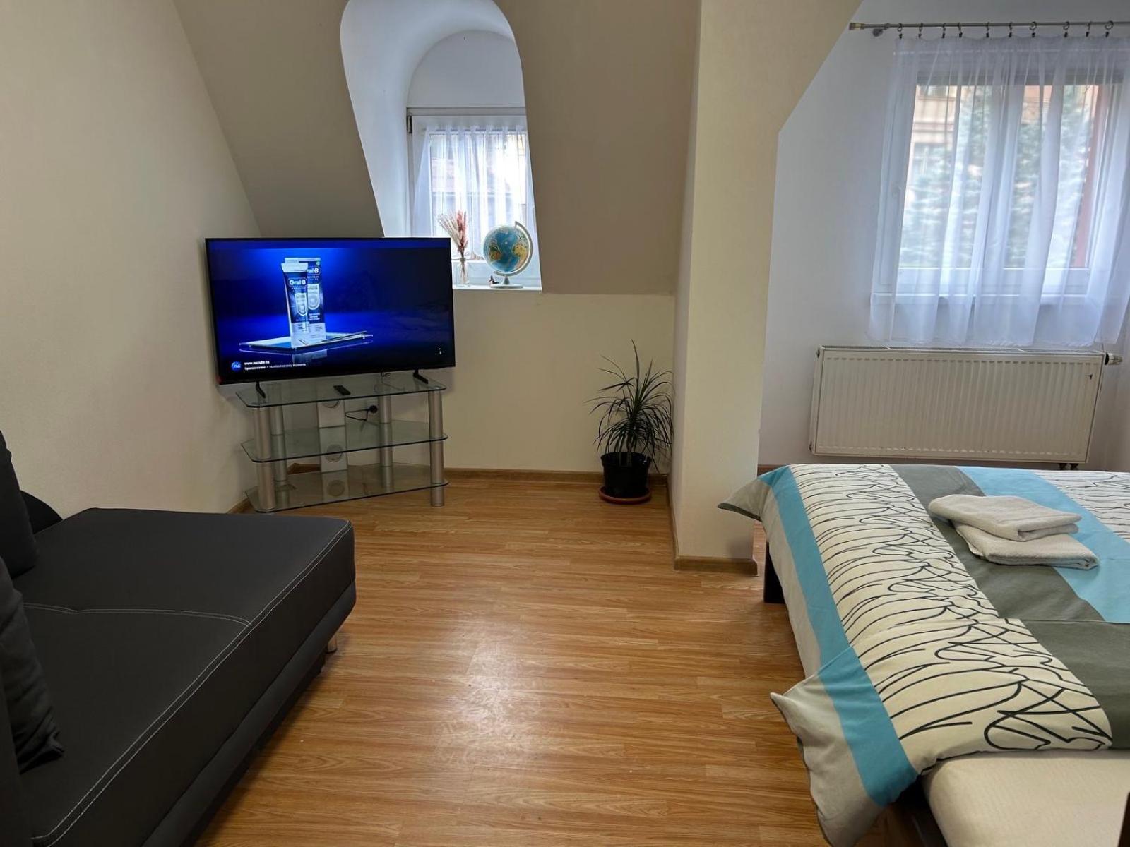 Apartman V Krusnych Horach-Free Parking Jáchymov Eksteriør bilde